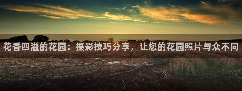 678体育官网下载平台注册要钱吗:花香四溢的花园:摄影技巧分