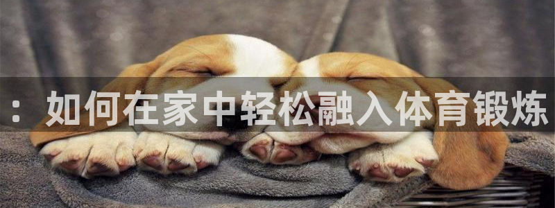 678体育官方正版app官网::如何在家中轻松融入体育锻炼